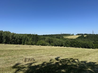 Bild 2:Kleine Heuballen