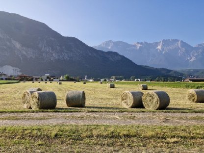 Heuballen Juni 2025
