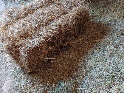 Bild 3:Heuballen vom 1. Schnitt 2024