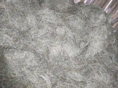 Bild 2:Heu zum Stockpressen