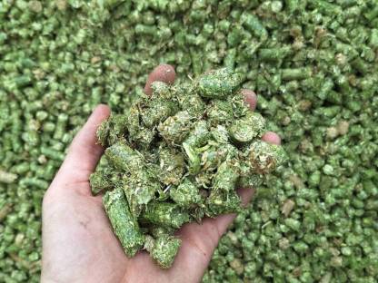 Luzernepellets