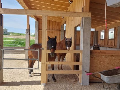 Bild 4:Einstellplatz