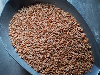 Bio-Dinkel
