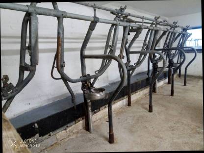 Aufstallung Fa. Braun
