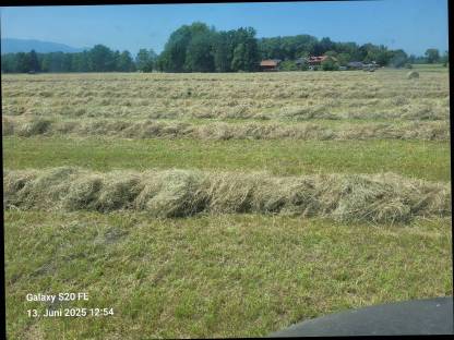 Bild 3:Heu Rundballen