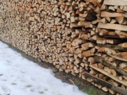 Bild 2:Reines Eschen Brennholz