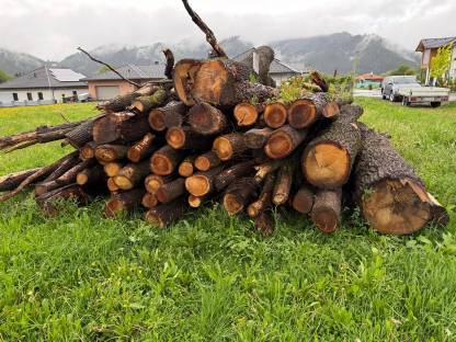 Eichen Brennholz