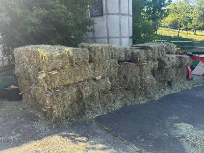 Bild 4:Heu, Pferdeheu