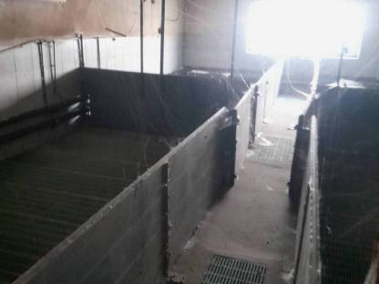 Bild 7:Zuchtenstalleinrichtung