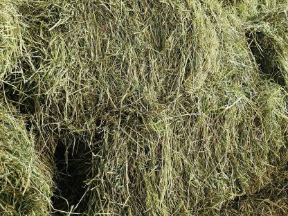 Bild 2:Heuballen Kleinballen Belüftungsheu