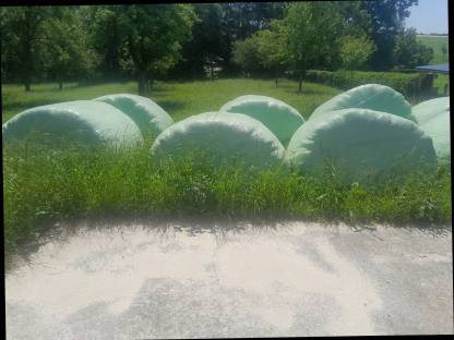 Grassilageballen