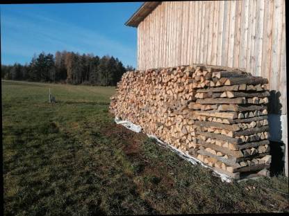 Bild 3:Brennholz
