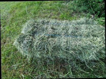 Bild 3:Heu-Kleinballen