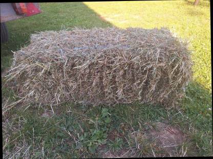 Bild 2:Heu Kleinballen