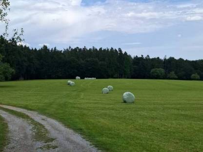Grassilage Rundballen