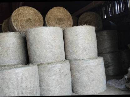 Bild 2:Heuballen zu verkaufen