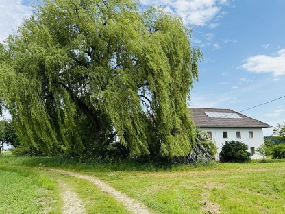 Bild 5:Vierkanthof in idyllischer Alleinlage in Pettenbach