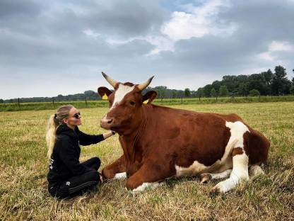 Bild 3:Einstellplatz / Offenstall