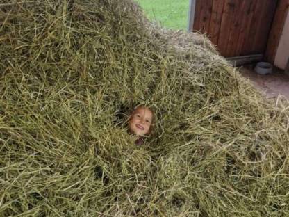 Bild 3:Heuballen 1,25 m