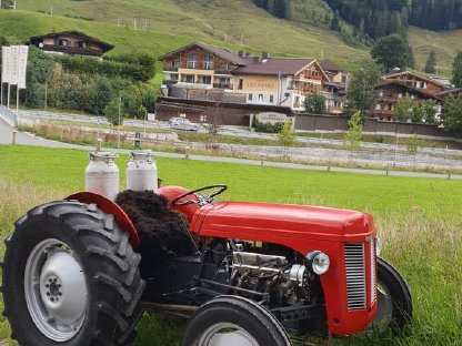 Bild 5:Oldtimertraktoren zu verkaufen