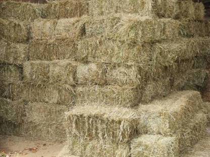 Bild 3:Heuballen / Kleinballen