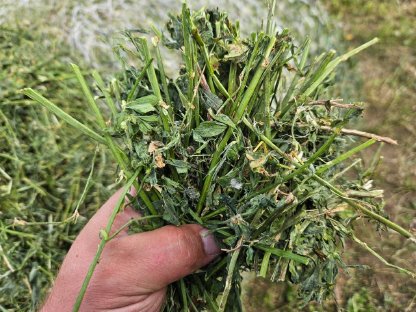 Bild 6:Stroh und Luzerne – Jetzt reservieren!