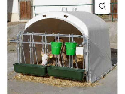 Kälberiglu