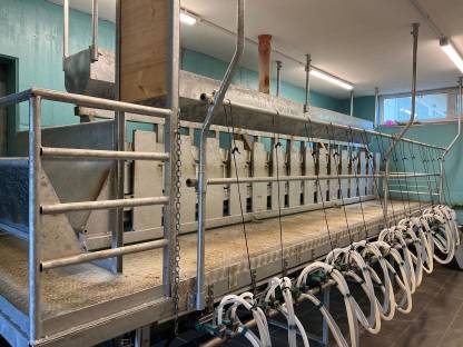 Ziegen/Schaf Melkstand mit 15 Plätzen