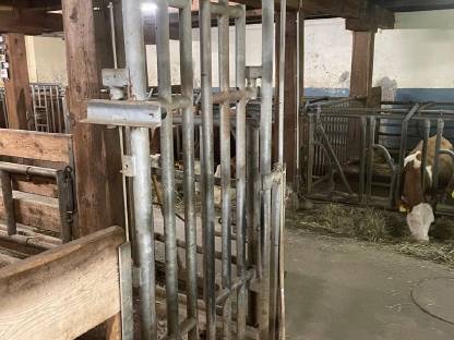 Bild 2:Melkanlage mit Tandemmelkstand