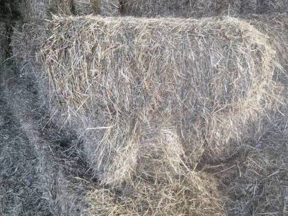 Bild 3:Kleine Heu Quaderballen