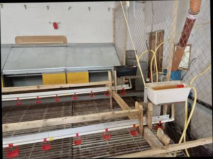 Bild 2:Legehennenstall