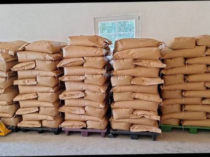 Bild 2:Schwarzhafer abgesackt