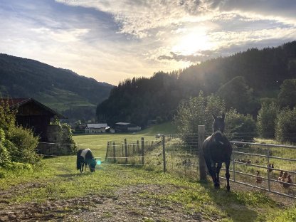 Bild 4:Mitreiter gesucht