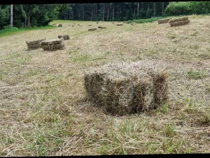 Heuballen / Kleinballen