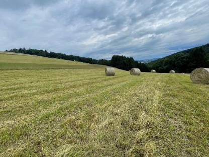 Bild 2:Heuballen