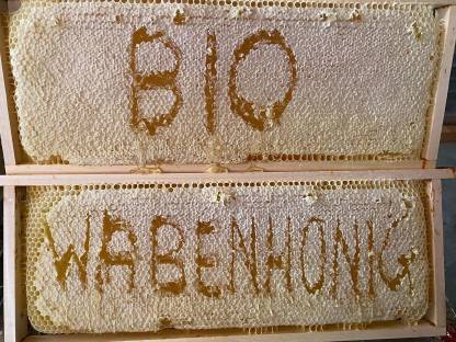 Bild 3:Wabenhonig