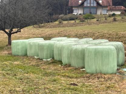 Silageballen ernte 2023/24