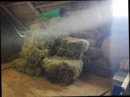 Bild 2:Verkaufe große und kleine Bio-Heuballen