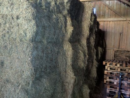 Bild 3:Heu, Pferdeheu