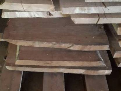 Bild 2:Edelkastanien und Birken Pfosten