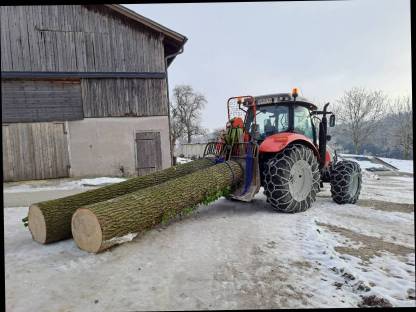 Bild 4:Forstarbeiten