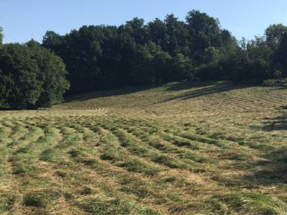 Bild 3:Heu in Kleinballen