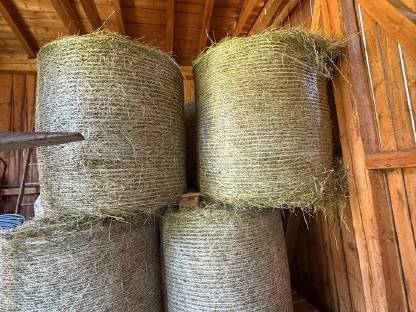 Heuballen 1. Schnitt 100x100