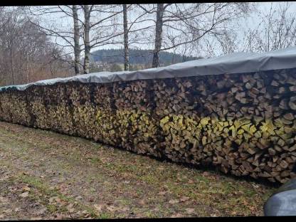 Bild 2:Brennholz Buche Bündel