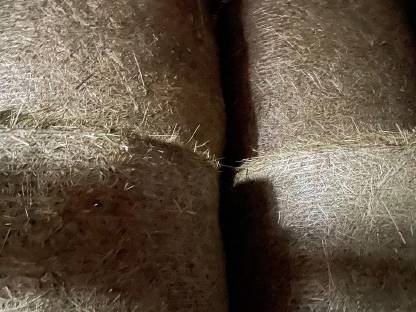 Bild 2:Rundballen Heu 1. Schnitt