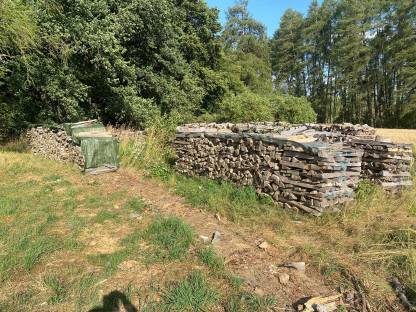 Buchenholz