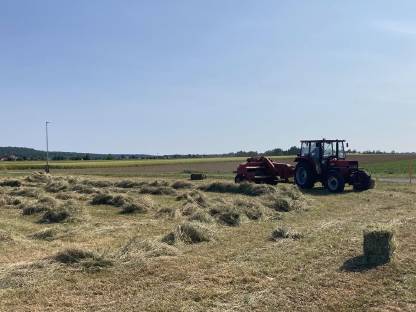 Bild 3:Heu in Kleinquaderballen
