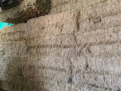 Bild 2:Heuquaderballen