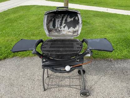 Weber Q-Gasgriller
