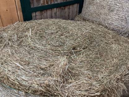 Bild 3:Verkaufe Bio-Heuballen 1,5 m
